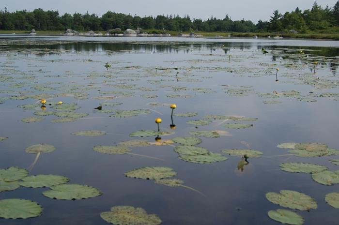 Kanutrip Naturreservat Sporting Lake_97